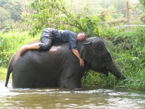 ElephantNamedKabu