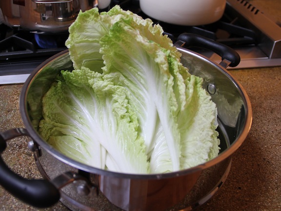 turkeystuffedcabbagewithmarinara1