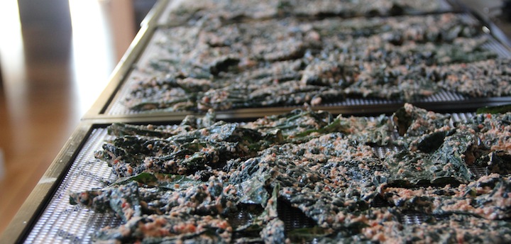 kale-chips-on-dehydrator-sheets